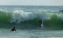 Plongeon - Manuel Antonio - Costa Rica